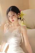 现无机构建立同一高效的港口监管系统